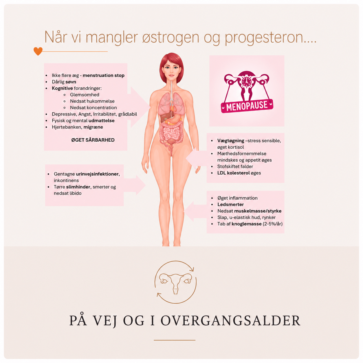 Illustration af kvinde med tekstbokse om overgangsalder, hormoner og symptomer, samt ikon for menopause. Anette Werenskiold - Klinik W